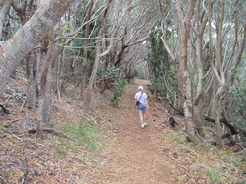 hiking